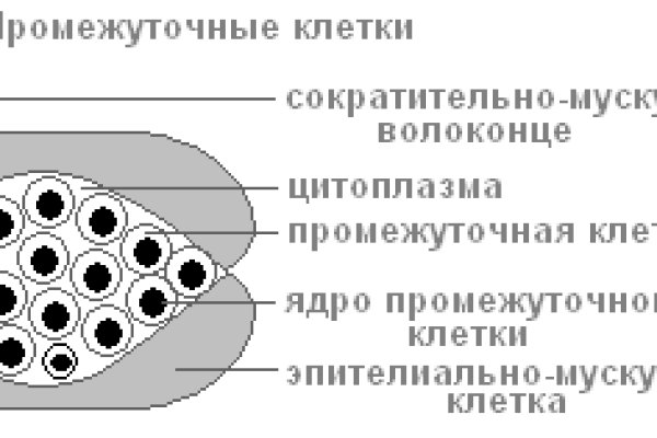 Ссылка на кракен зеркало