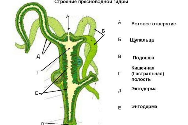 Наркоплощадки кракен