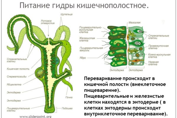 2krn сс