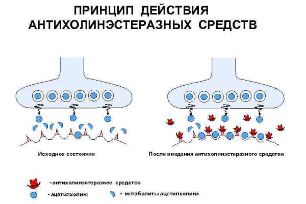 Ссылка кракен через тор